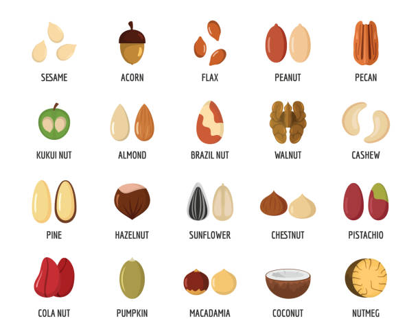 typy nakrętek z ustawionymi ikonami nazw podpisanych, styl płaski - orzech włoski orzech stock illustrations