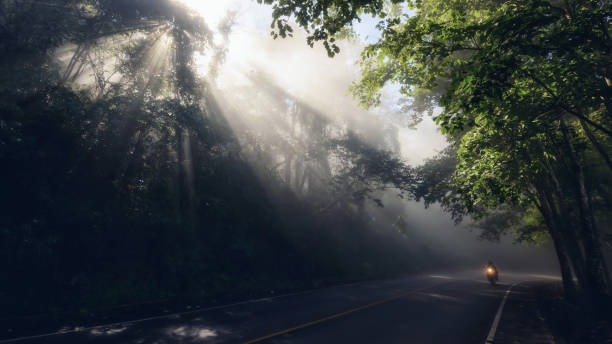 istock motorbike on forest road with rays and mist 1009943046