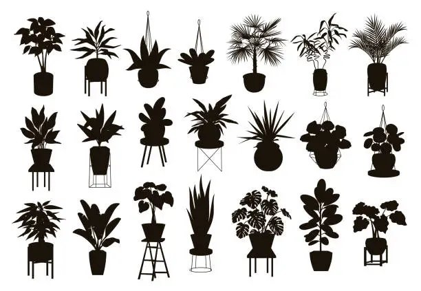 Vector illustration of silhouettes collection of  decor house indoor garden plants in pots and stands graphic set