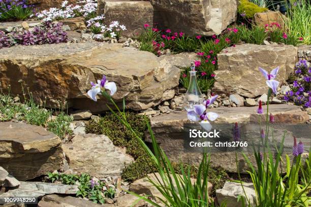 Rockery Stock Photo - Download Image Now - Rock Garden, European Alps, Beauty