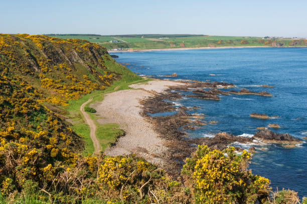 istock views of the Cullen Bay 1009948574