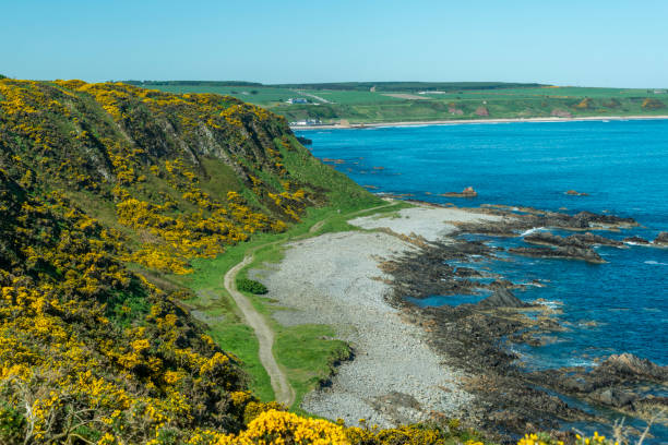 istock views of the Cullen Bay 1009948576