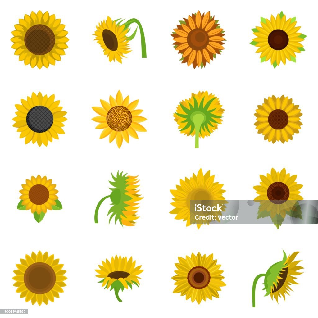 Sunflower blossom icons set vector isolated Sunflower blossom icons set. Flat illustration of 16 sunflower blossom vector icons isolated on white Sunflower stock vector