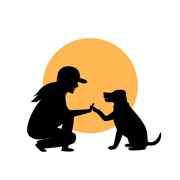 ilustraciones, imágenes clip art, dibujos animados e iconos de stock de mujer y perro saludo silueta gráfica - dog school illustrations