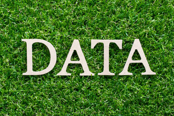 istock Wood alphabet in word data on artificial green grass background 1009951754