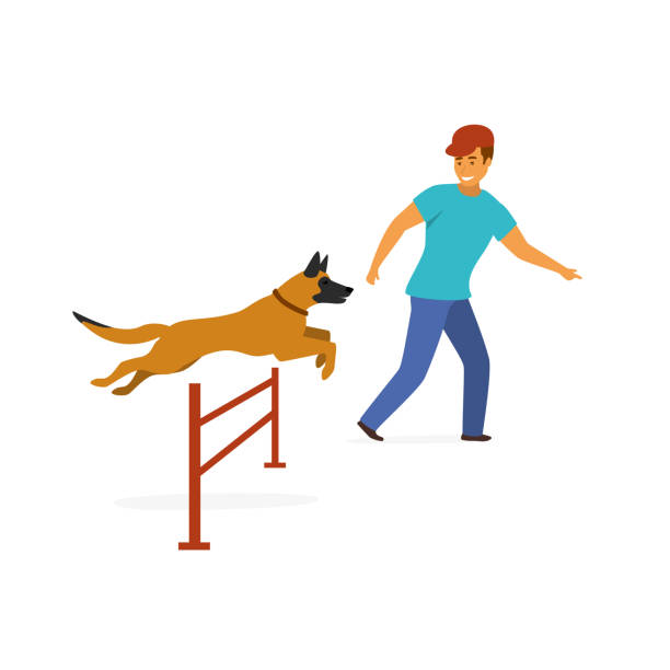 ilustrações, clipart, desenhos animados e ícones de treinamento de agilidade do cão exercício gráfico de vetor isoladas - men jogging running sports training