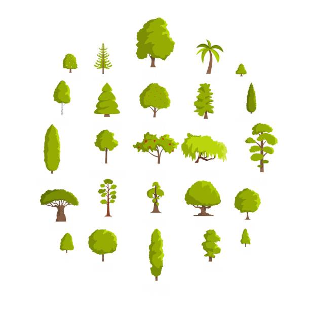 illustrations, cliparts, dessins animés et icônes de arbre de jeu d’icônes, plat style - beech leaf tree green leaf
