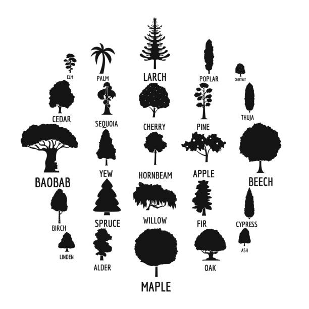 zestaw ikon drzewa, prosty styl - poplar tree obrazy stock illustrations