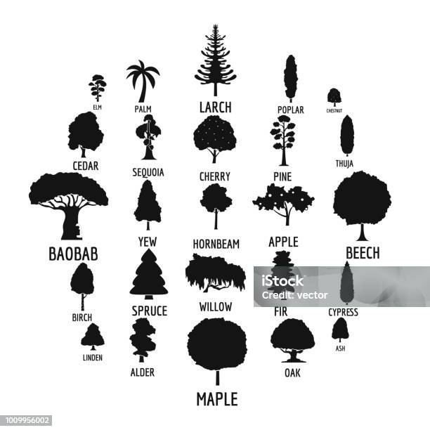 Tree Icons Set Simple Style Stock Illustration - Download Image Now - Icon Symbol, Tree, Vector