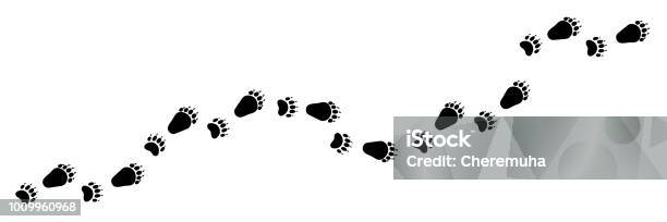 Long Vector Bear Foot Trail Track Stock Illustration - Download Image Now - Bear, Track - Imprint, Paw Print