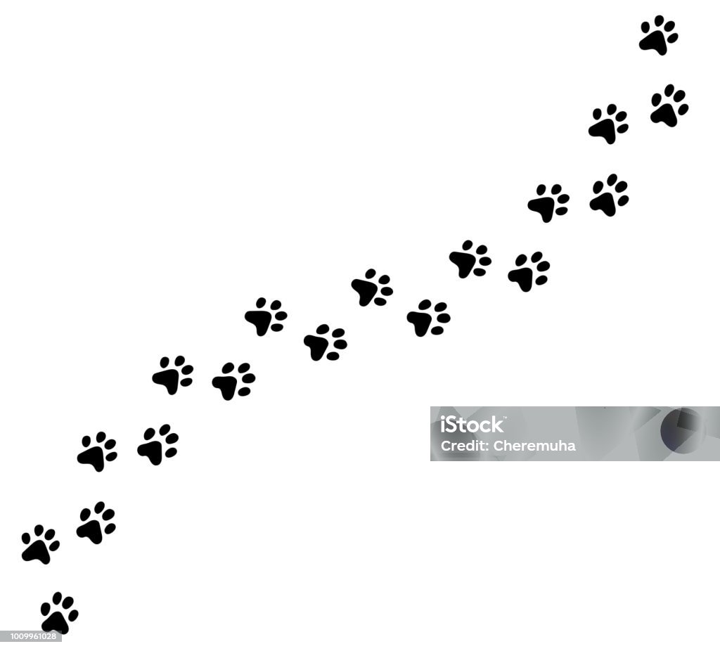 Diagonal vector cat, kitten foot trail, track, print. - Royalty-free Cão arte vetorial