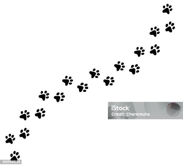 Diagonal Vector Cat Kitten Foot Trail Track Print - Arte vetorial de stock e mais imagens de Cão