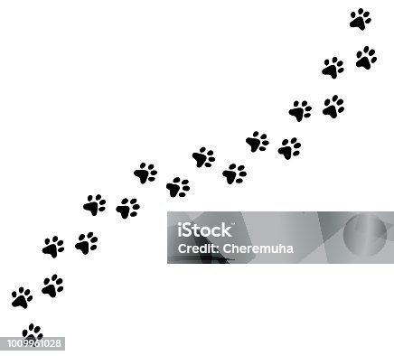 istock Diagonal vector cat, kitten foot trail, track, print. 1009961028