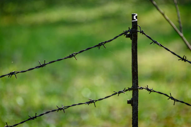 istock barbed wire fence on green background 1009961678