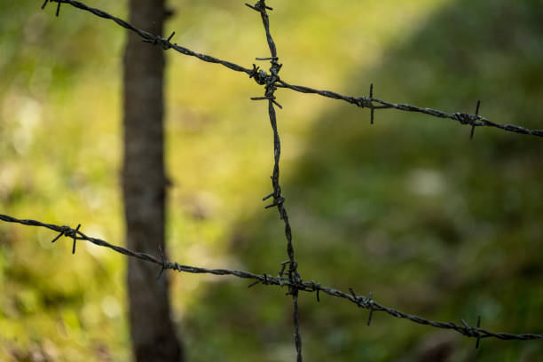 istock barbed wire fence on green background 1009961740