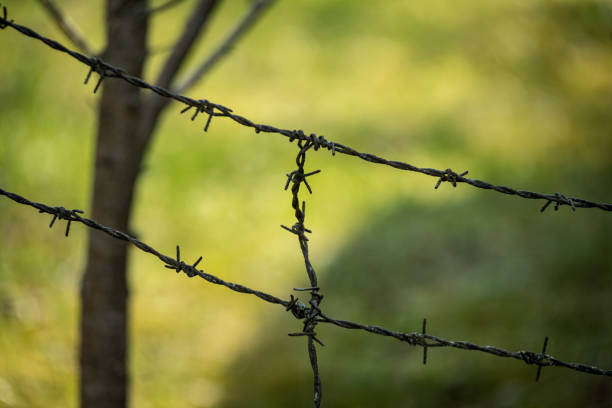 istock barbed wire fence on green background 1009961742