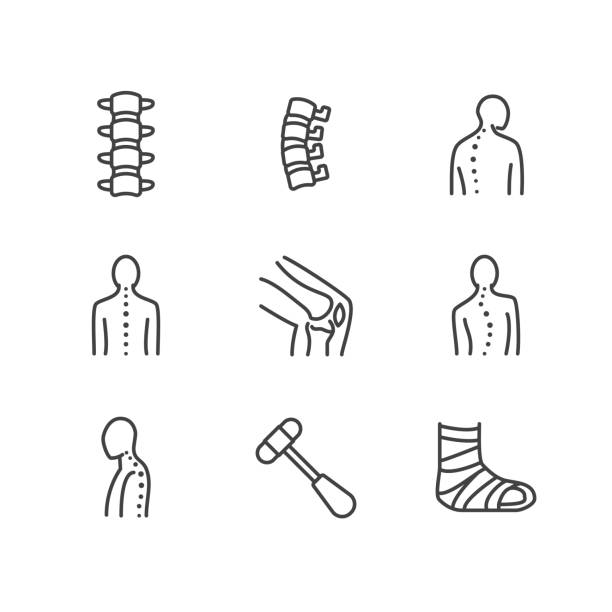 ilustraciones, imágenes clip art, dibujos animados e iconos de stock de columna vertebral, los iconos de línea troncal. clínica de ortopedia, rehabilitación médica, de nuevo trauma, fractura de hueso, corrección de postura, escoliosis. signos de salud hospital lineales finas. pixel perfecto trazos editables de 64 x 64 - posture