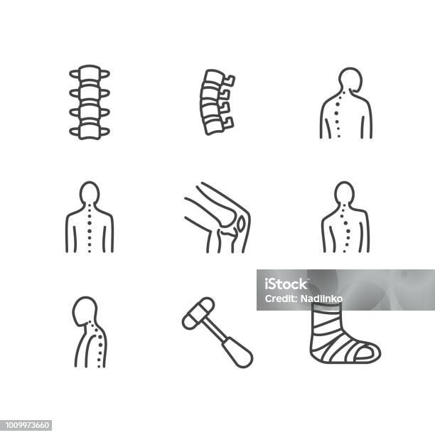 Colonne Vertébrale Icônes Ligne Dorsale Clinique Dorthopédie Réadaptation Médicale Retour De Traumatisme Fracture Correction De La Posture Scoliose Signes De Santé Hôpital Linéaire Mince Pixel Perfect Strokes Modifiable De 64 X 64 Vecteurs libres de droits et plus d'images vectorielles de Icône