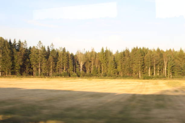 istock View from train window heading to Oslo, Norway 1009974010