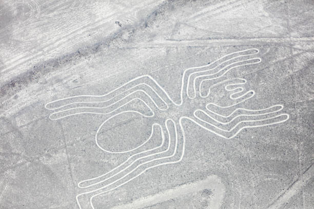 istock Nazca lines from the aircraft 1009978844