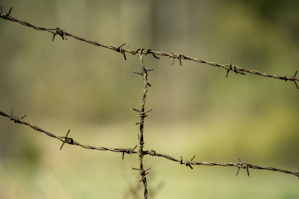 istock barbed wire fence on green background 1009979250