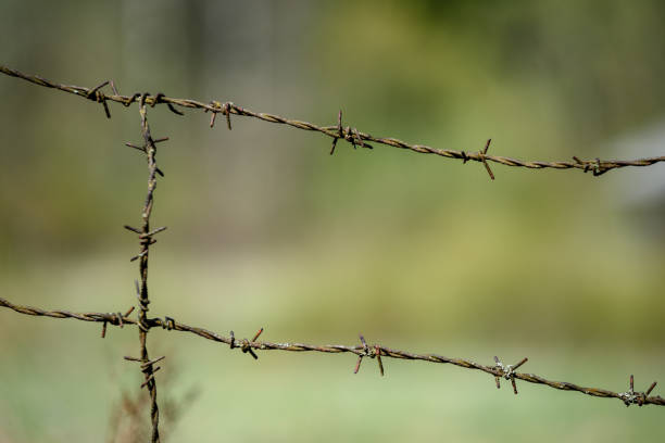 istock barbed wire fence on green background 1009979262