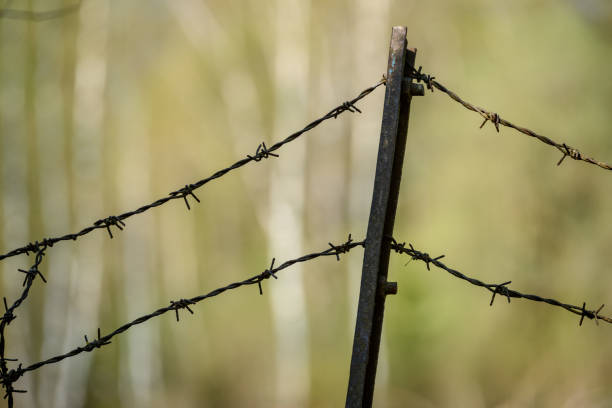 istock barbed wire fence on green background 1009979294