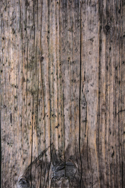 Aged gray brown nonpainted surface wooden plank close up texture background stock photo