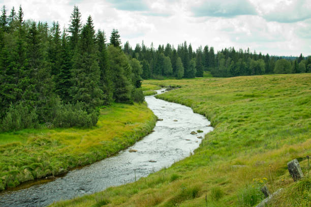 istock Summer landscape in Bohemian Forest. Czech Republic. 1009993114