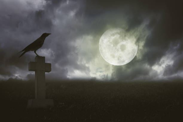 istock Halloween background with raven and grave 1010001782