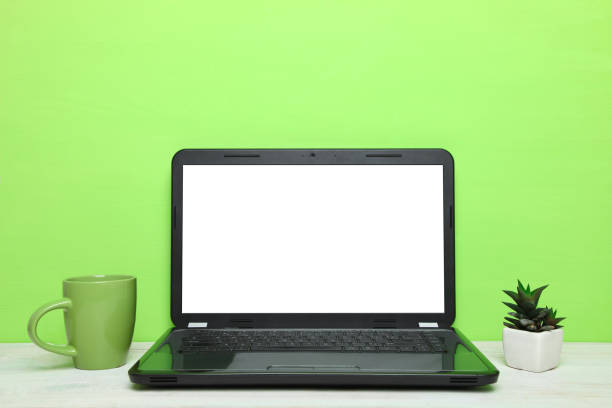 istock Laptop, a cup of tea and cactus 1010007206
