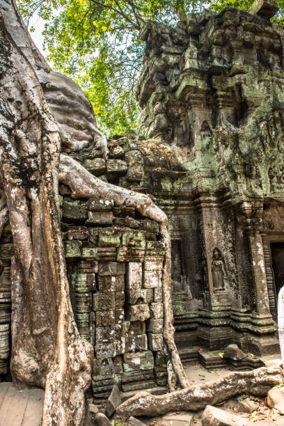 istock Giant tree and roots in temple Ta Prom Angkor wat 1010007380