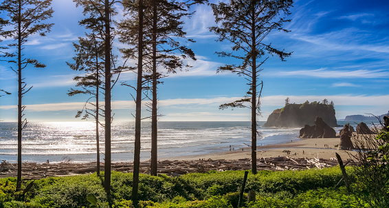 Ruby Wa Pantai Ruby Wa Foto Stok - Unduh Gambar Sekarang - Washington - Pacific ...