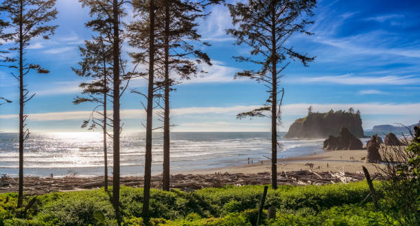 ruby beach - olympic peninsula foto e immagini stock