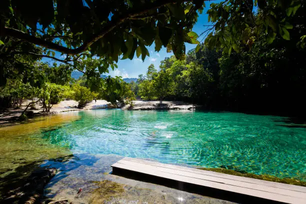 Photo of Emerald Pool National Park Krabi