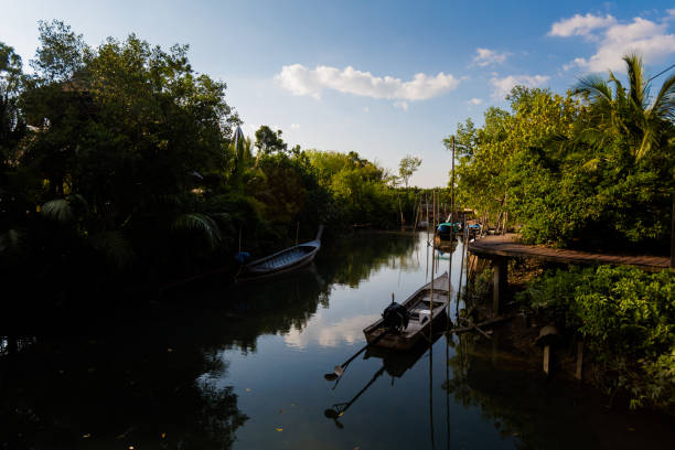 istock Krabi Tha Pom mangrove reserve 1010015046