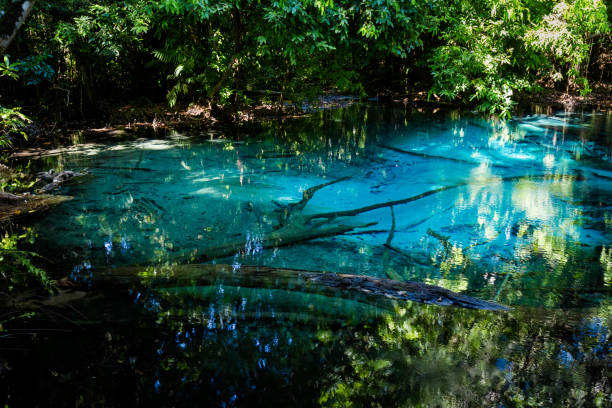 istock Blue Pond National Park Krabi 1010015728