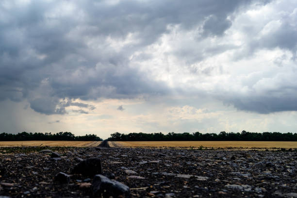 istock Fields after harvest, the road between them, the sky with low gray rain clouds. 1010015922