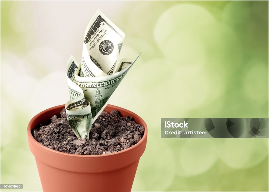 Finance. Money grow in flowerpot on blurred background Bank - Financial Building Stock Photo