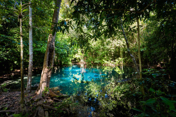 istock Blue Pond National Park Krabi 1010016234