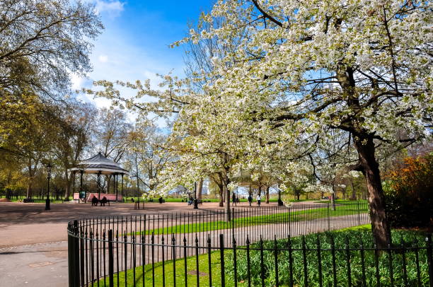 Spring in Hyde park, London, UK Spring in Hyde park, London, UK hyde park london photos stock pictures, royalty-free photos & images