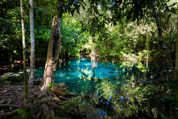 istock Blue Pond National Park Krabi 1010022692