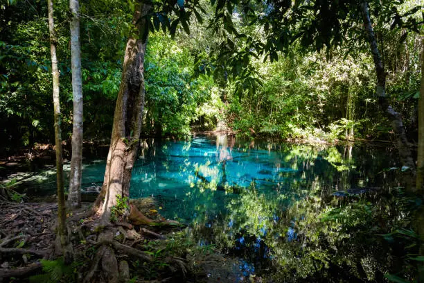 Photo of Blue Pond National Park Krabi
