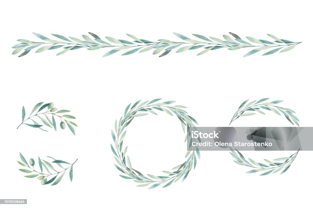 Watercolor olive branch. Sketch of olive branch on white background Leaf stock vector