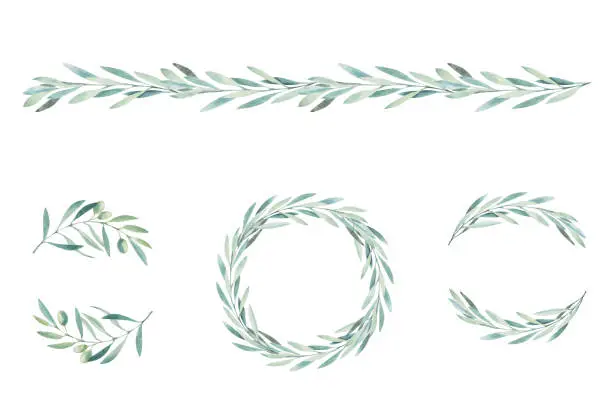 Vector illustration of Watercolor olive branch. Sketch of olive branch on white background