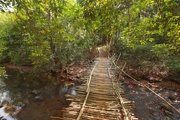 istock Sankav - a traditional village small bridge 1010032700