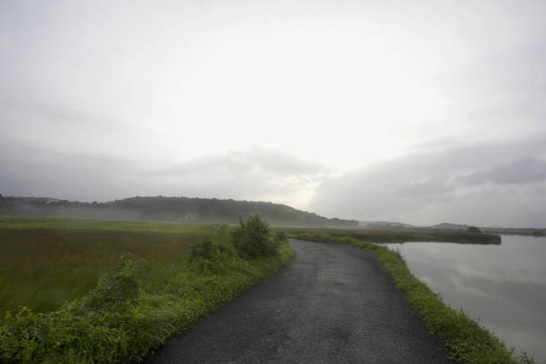 istock Road alongside backwaters in Goa, India 1010032910