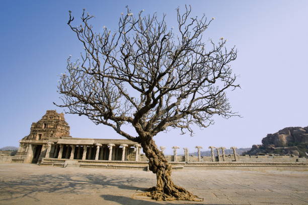 istock Hampi world heritage site landscape, Hampi, Karnataka 1010033150