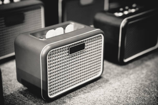istock Mini Music Audio Speaker in Black and White 1010036212