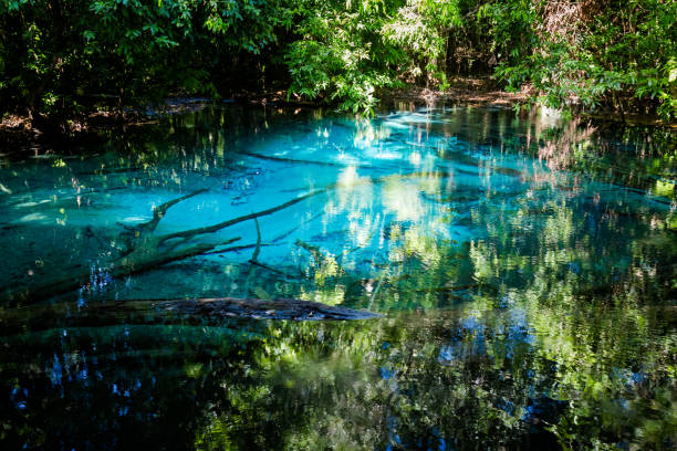 istock Blue Pond National Park Krabi 1010036550